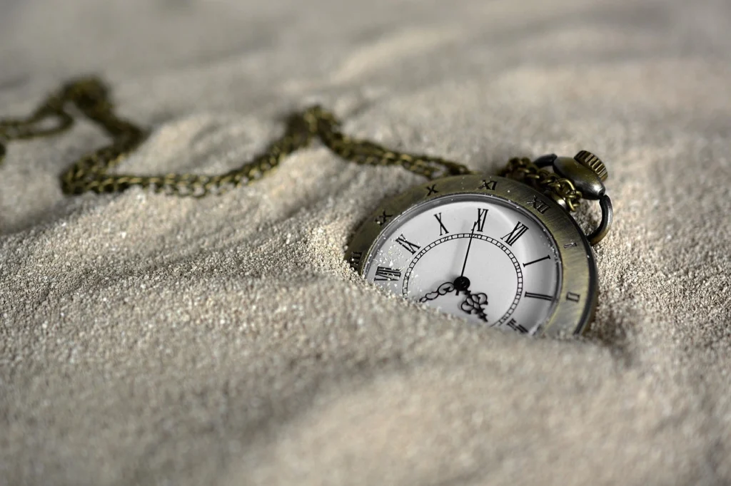 1000023338-1024x682 How calculate Time in few seconds With one Hour Rate